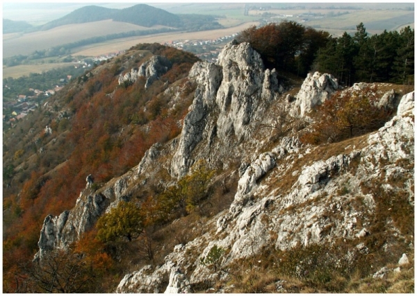 Kršlenica 