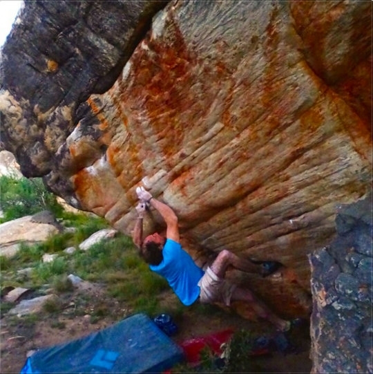 Fred Nicol: Escapist 8B