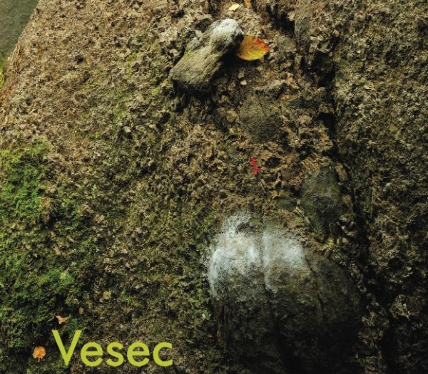 Vesec - bouldering u Liberce